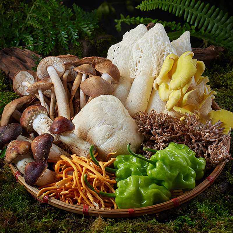 寧正豐 七彩菌宴鮮品398型1200g