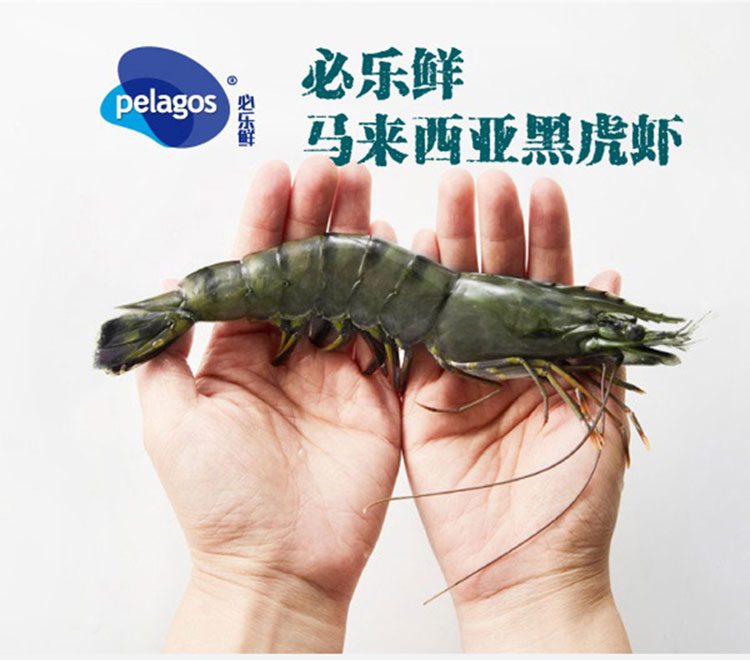 【必樂鮮】生凍馬來西亞黑虎蝦800g盒20-25只盒P00002894931.jpg