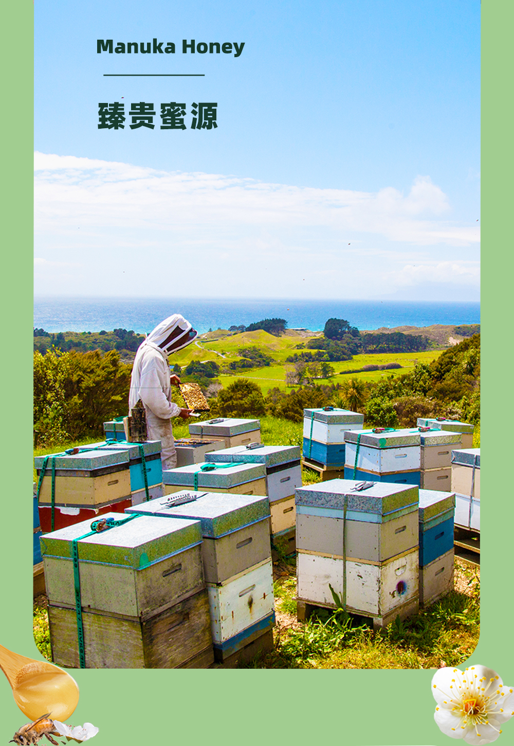 【云倉】新西蘭維必滋麥盧卡花蜂蜜(UMF5+) 500gP00001114238.jpg