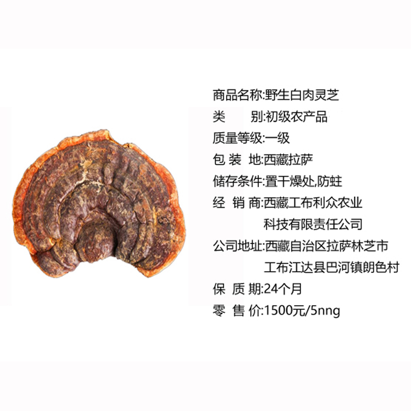 白肉靈芝.jpg