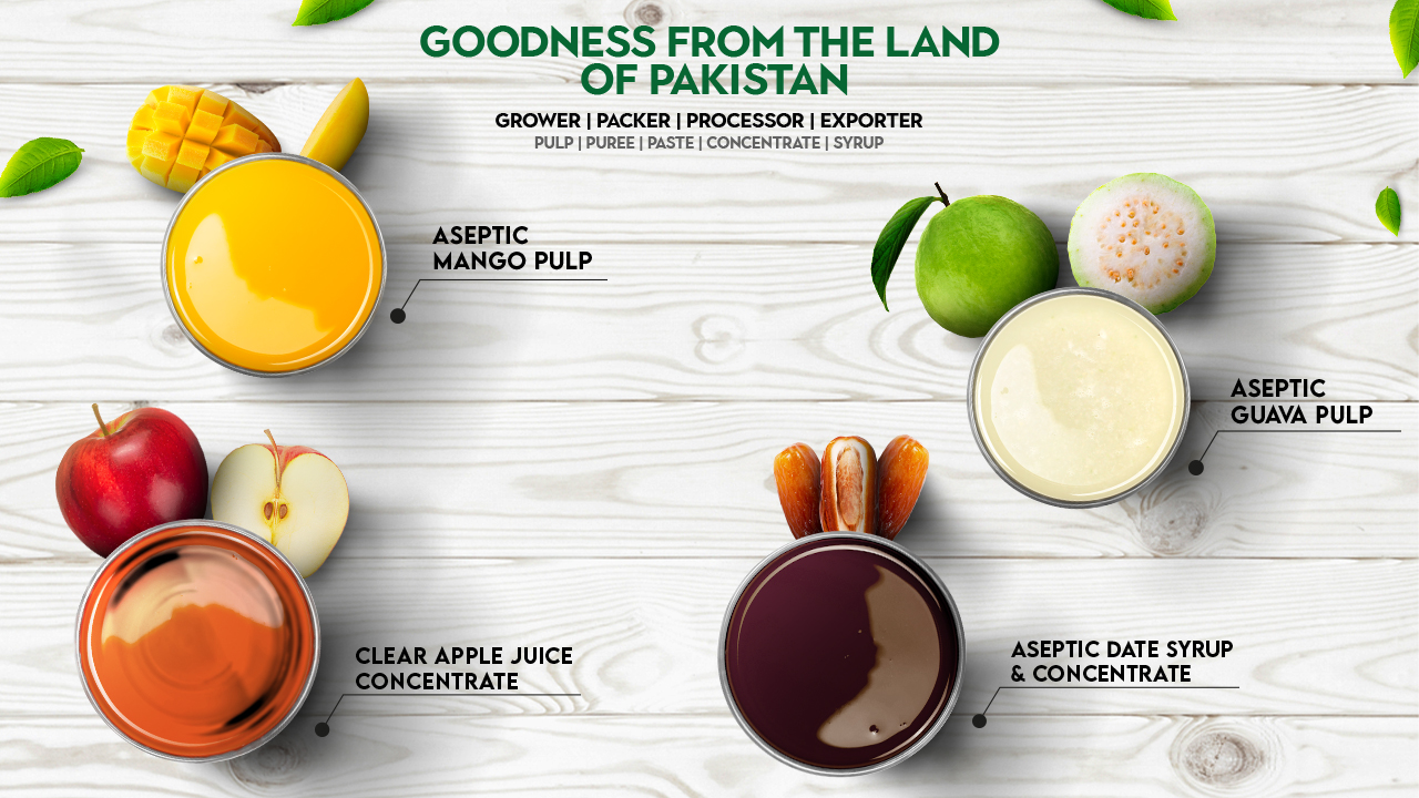 pulp 1280 x 720 hangetop view.psd 02.jpg