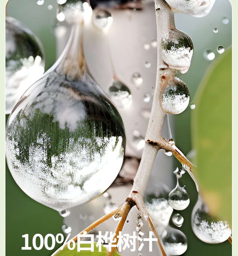 白樺樹汁詳情330ml_06.jpg