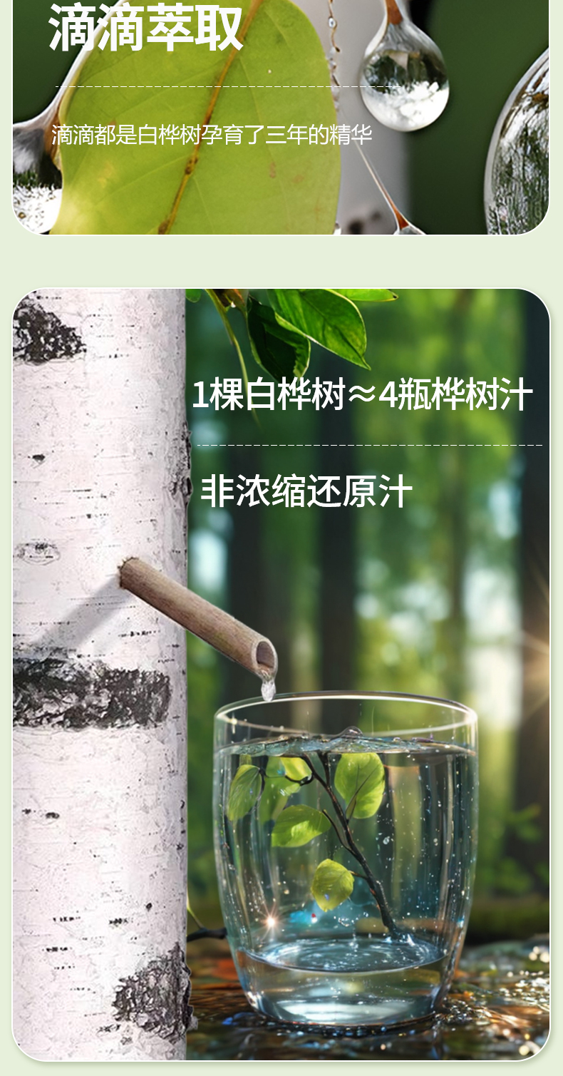 白樺樹汁詳情330ml_07.jpg