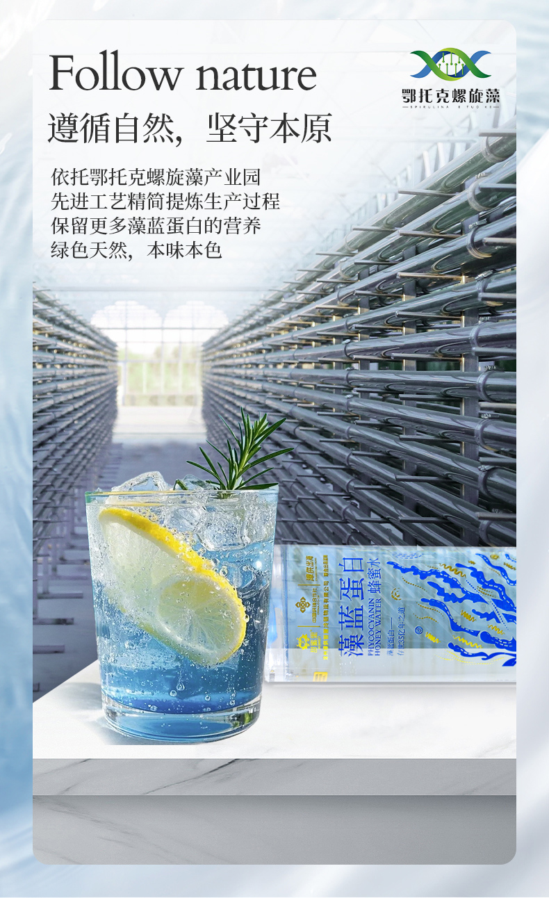藻藍(lán)蛋白蜂蜜水08.jpg