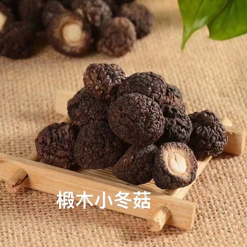 椴木小冬菇