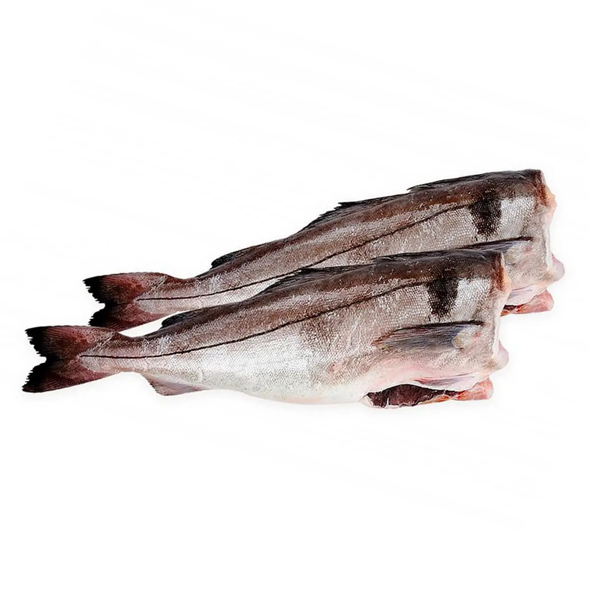 阿拉斯加挾鱈魚