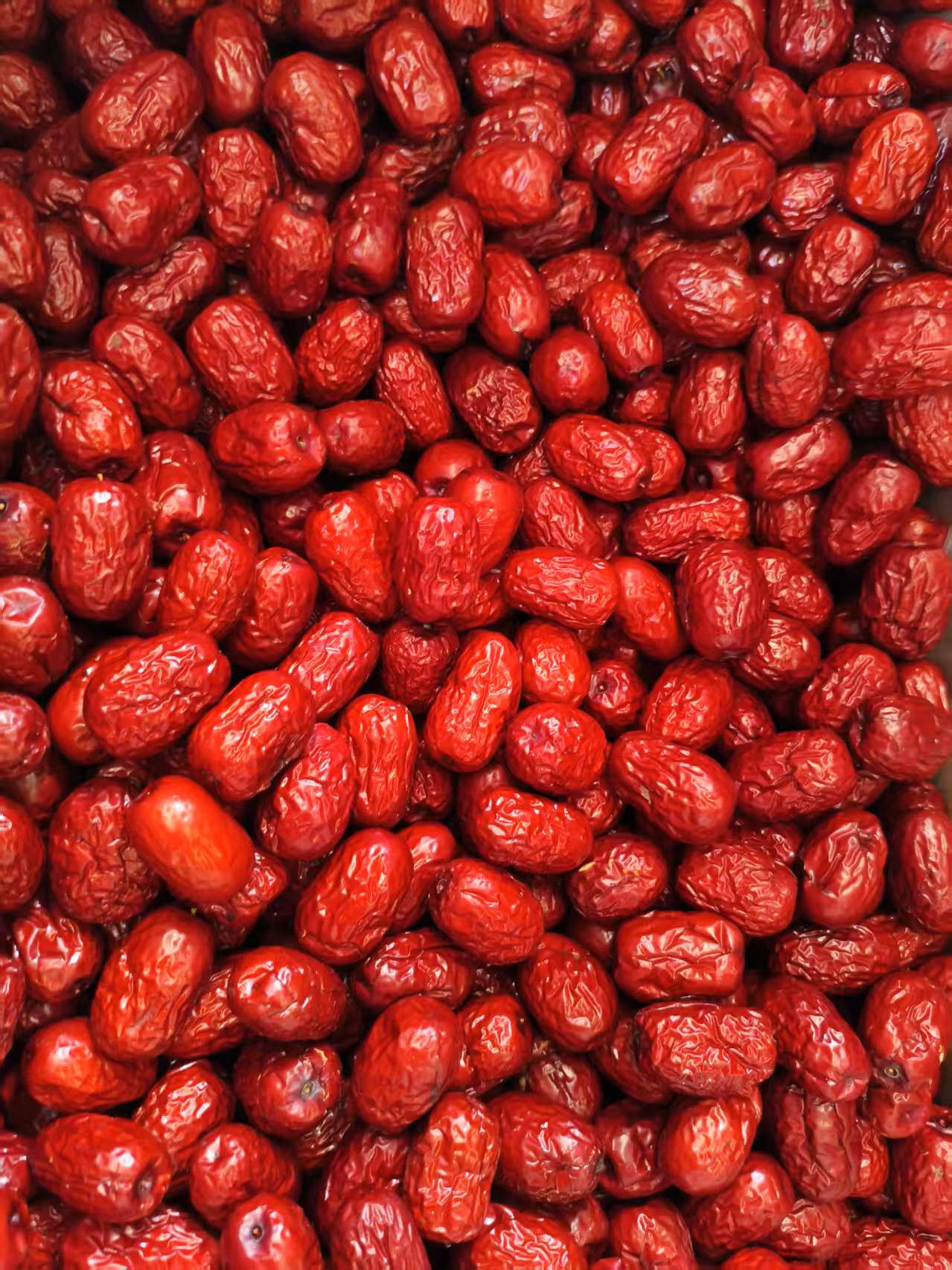 松鼠知友記新疆紅棗