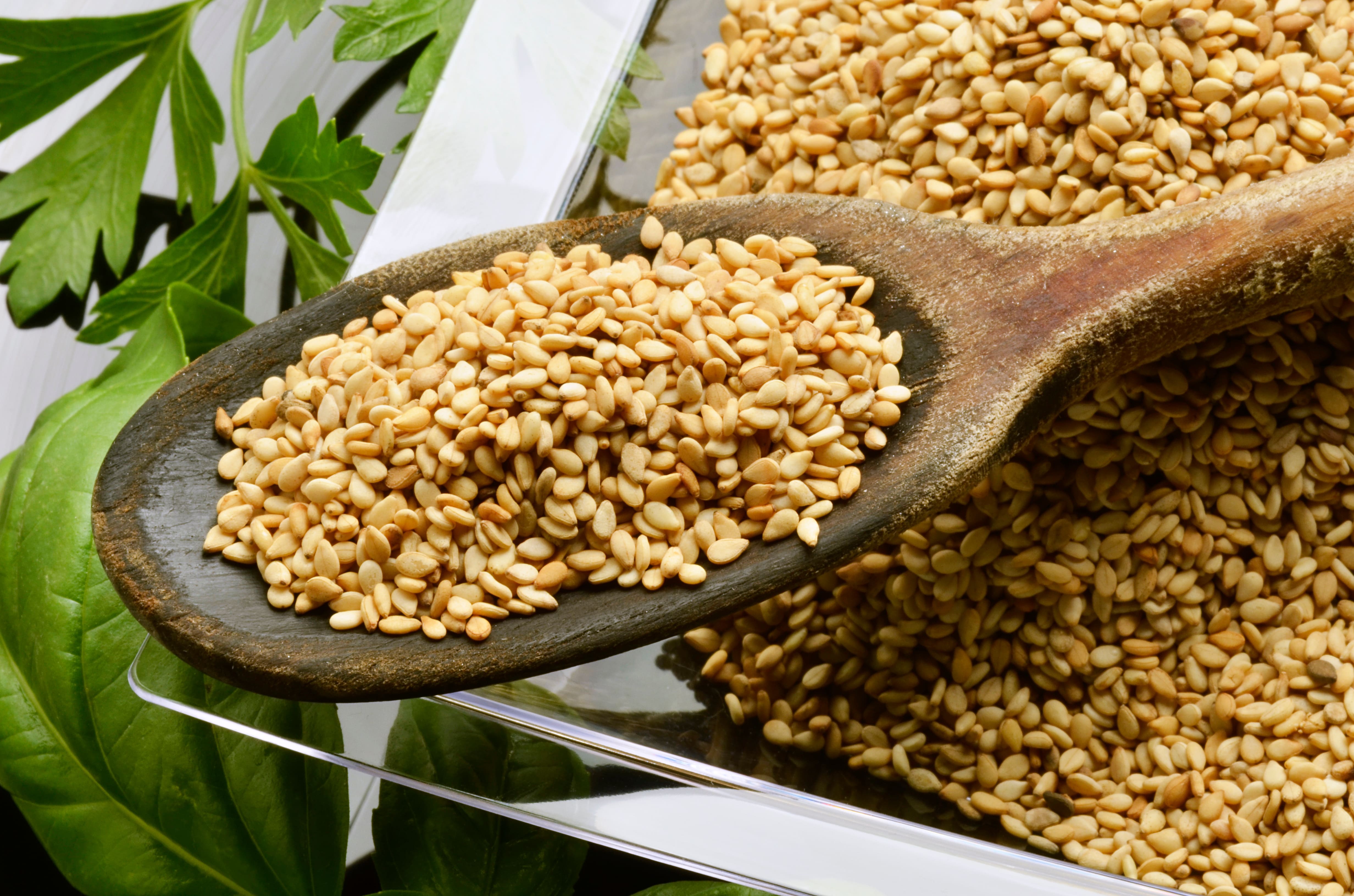 sesamo - copia (1).jpeg