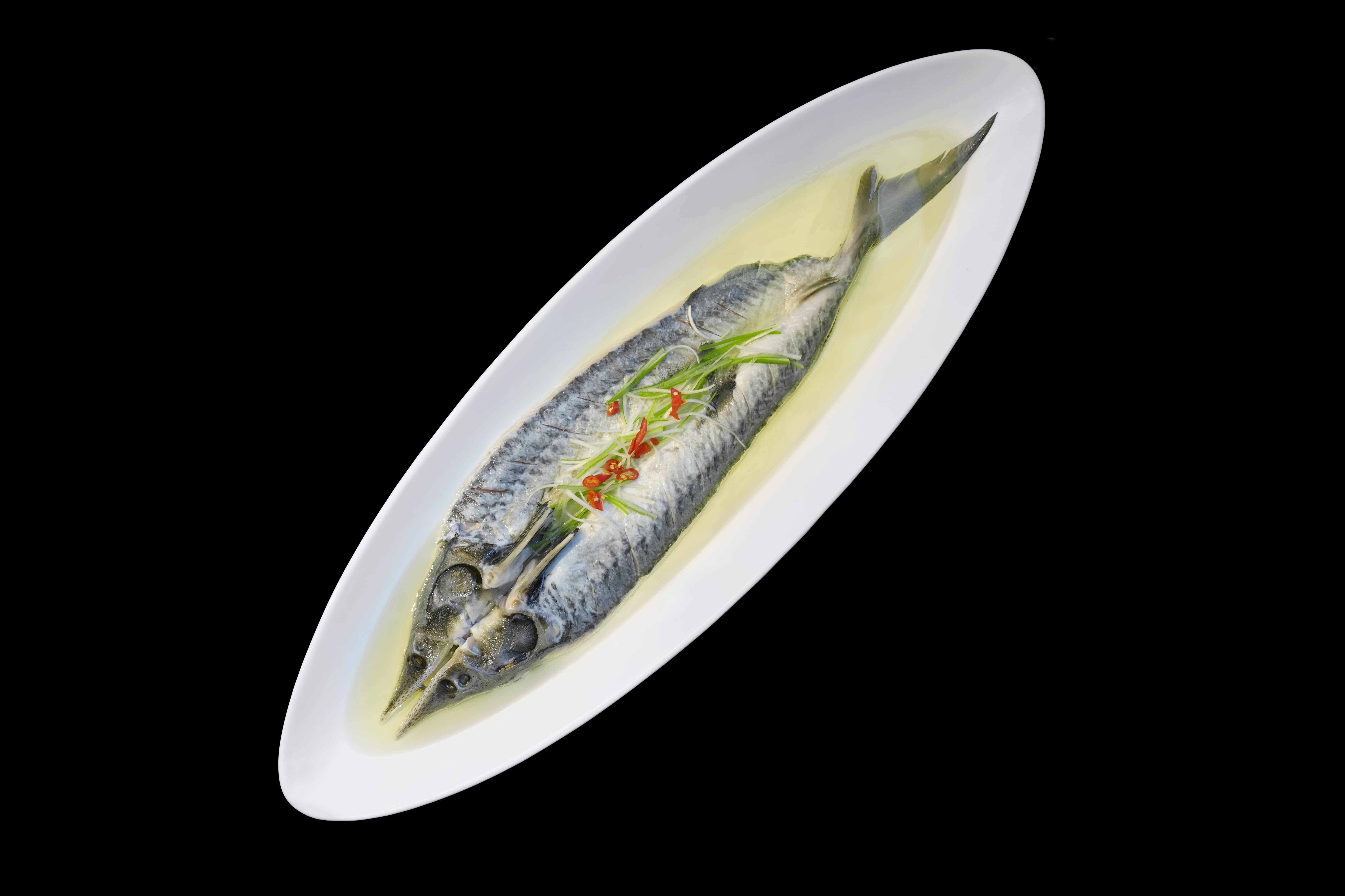 鱘龍開(kāi)背魚(yú)