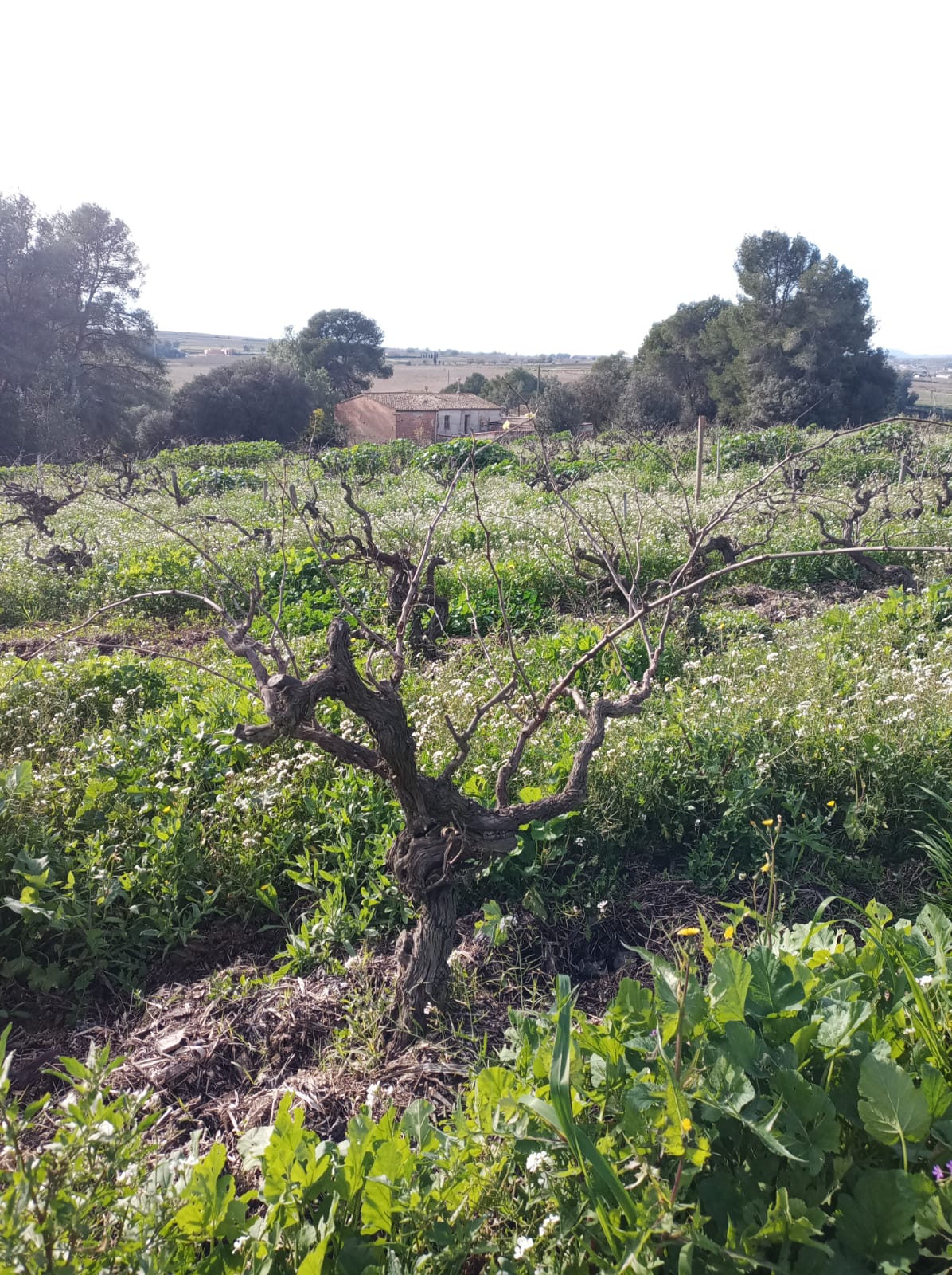 2019年與一對(duì)情侶
