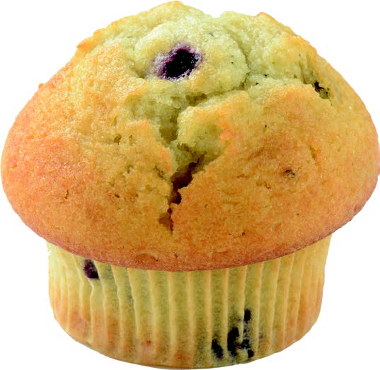 Blueberry 400343.jpeg