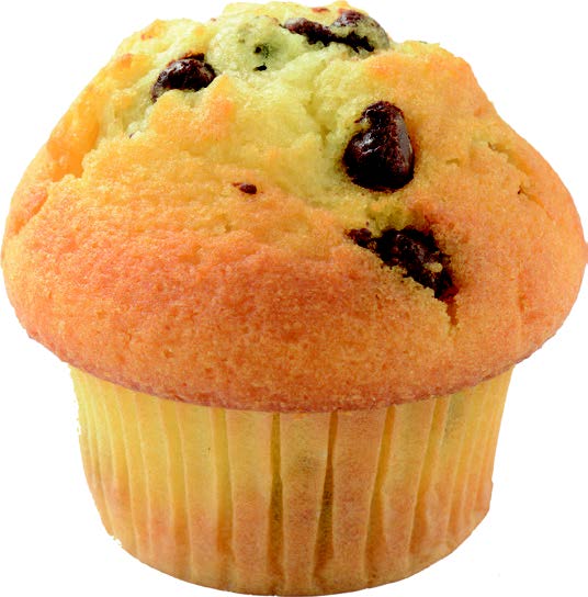 CHOCOLATE CHIPS 400346 .jpeg