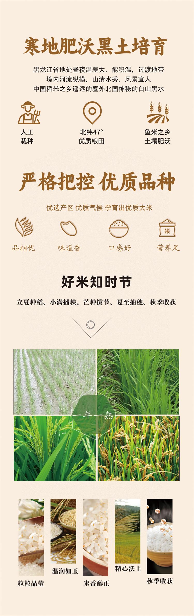 惠享 胚芽米 詳情頁 3.jpg