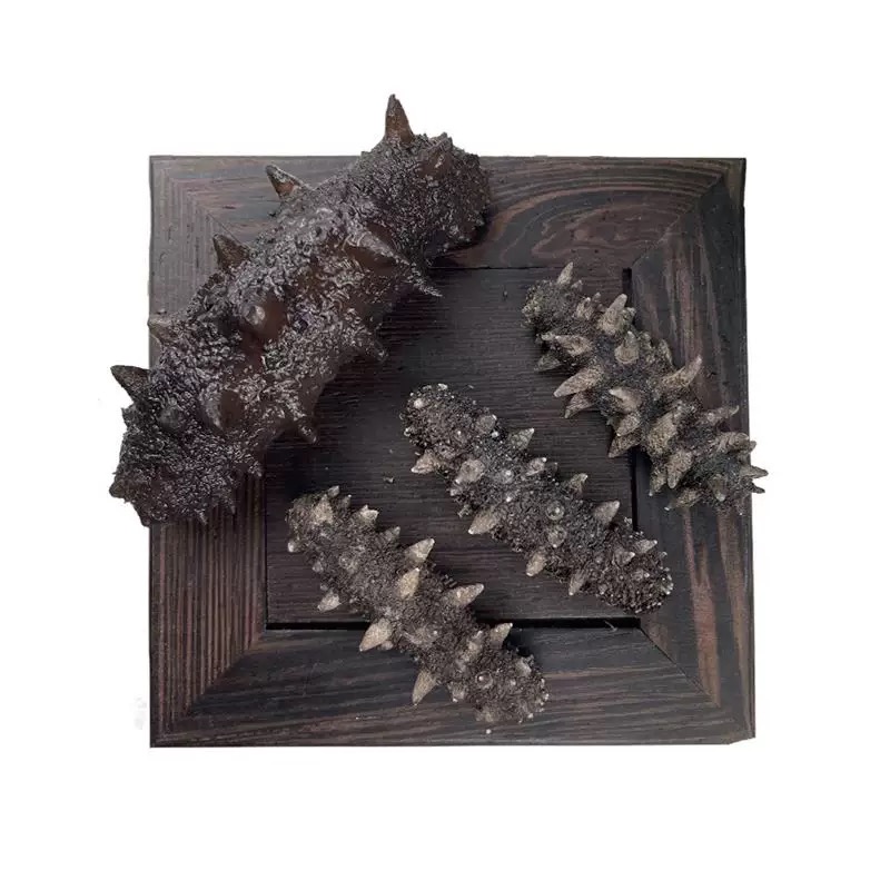 冷水速發(fā)海參