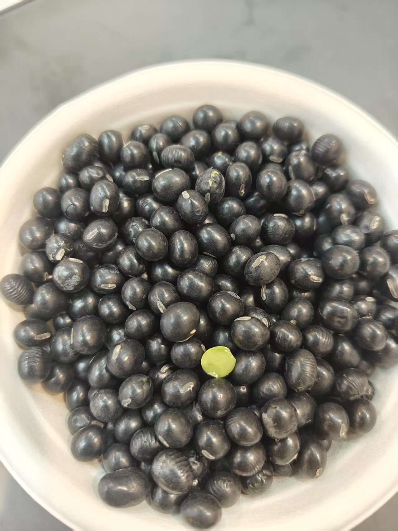 泥河灣綠仁黑豆