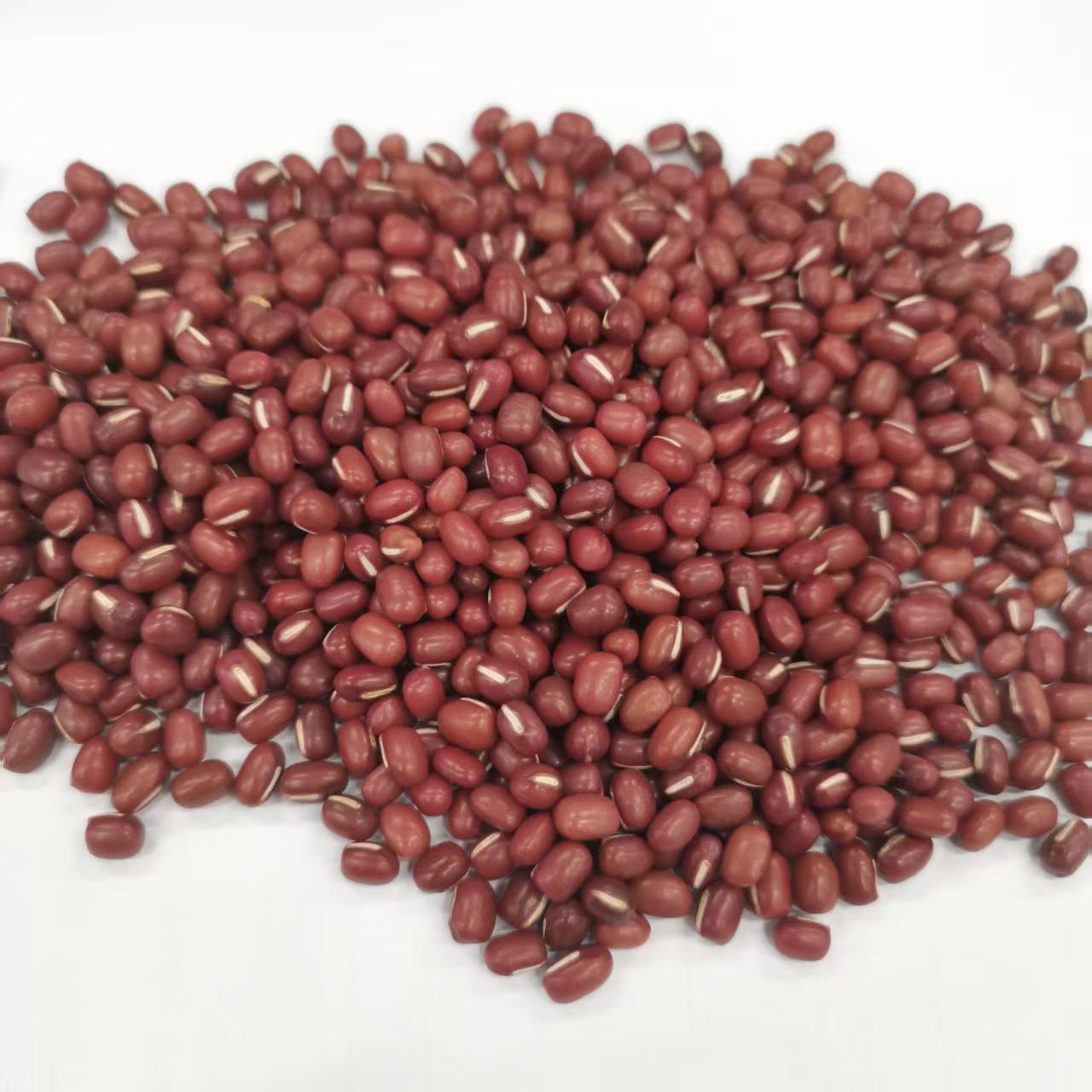 泥河灣雜糧紅小豆