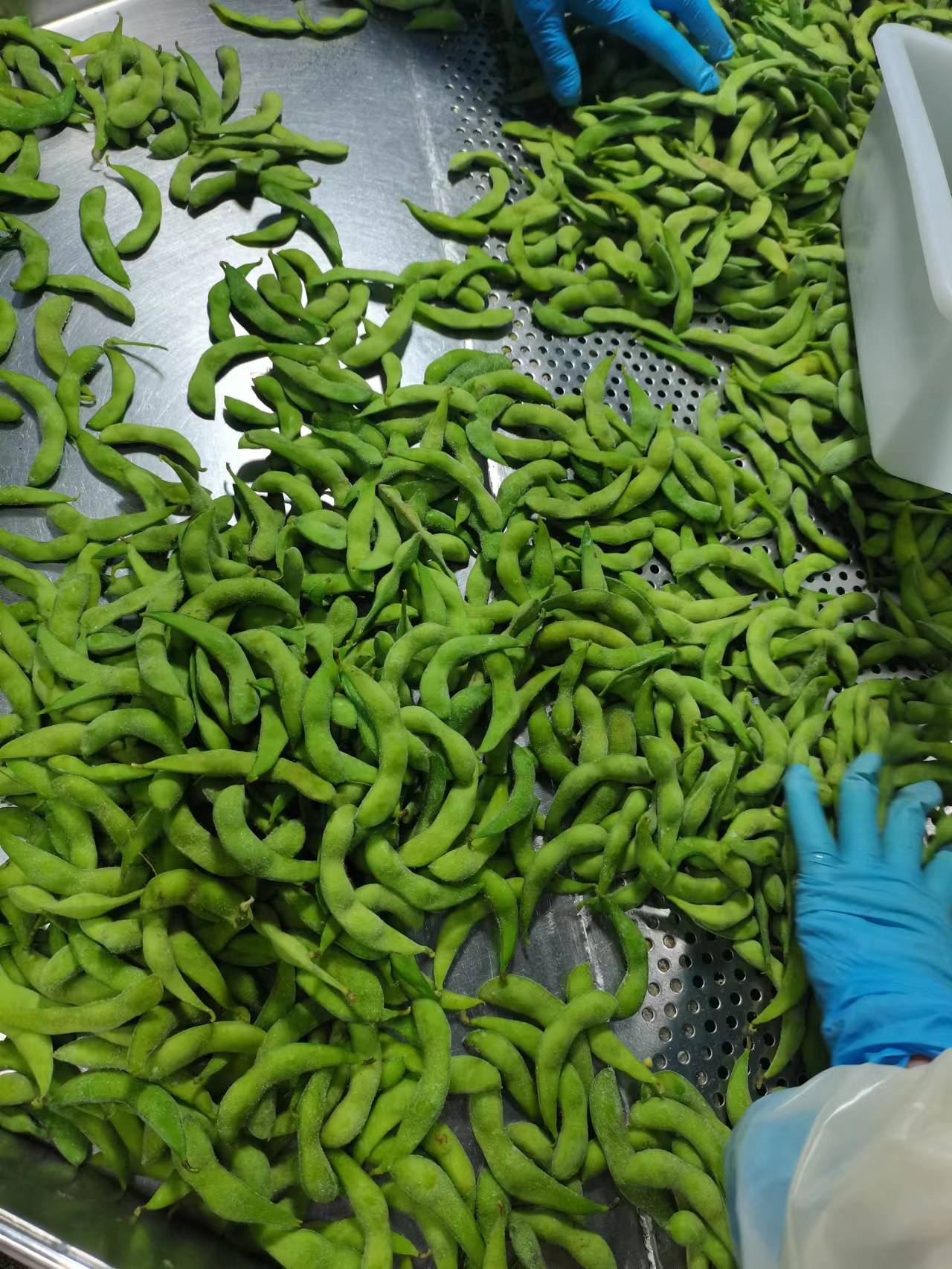 green beans 5.jpg
