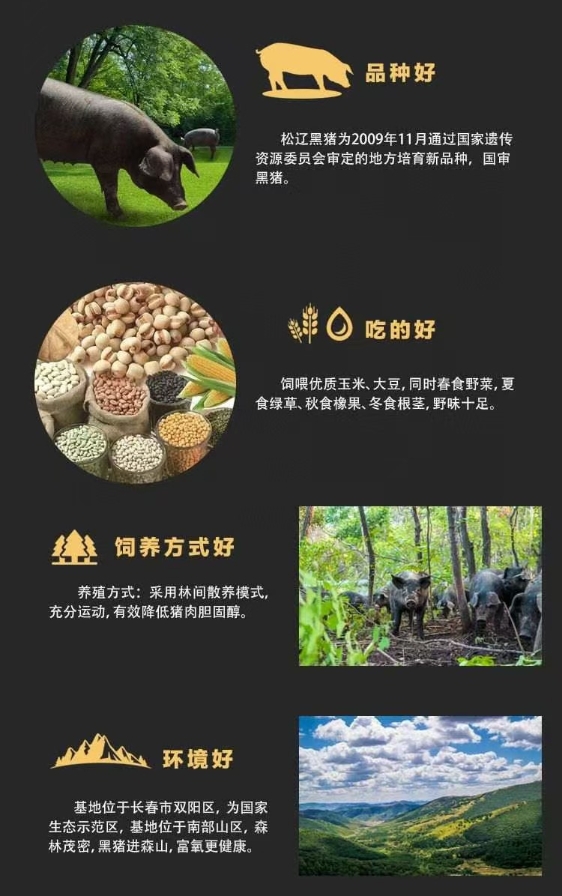 猪肉详情分割 (4).png