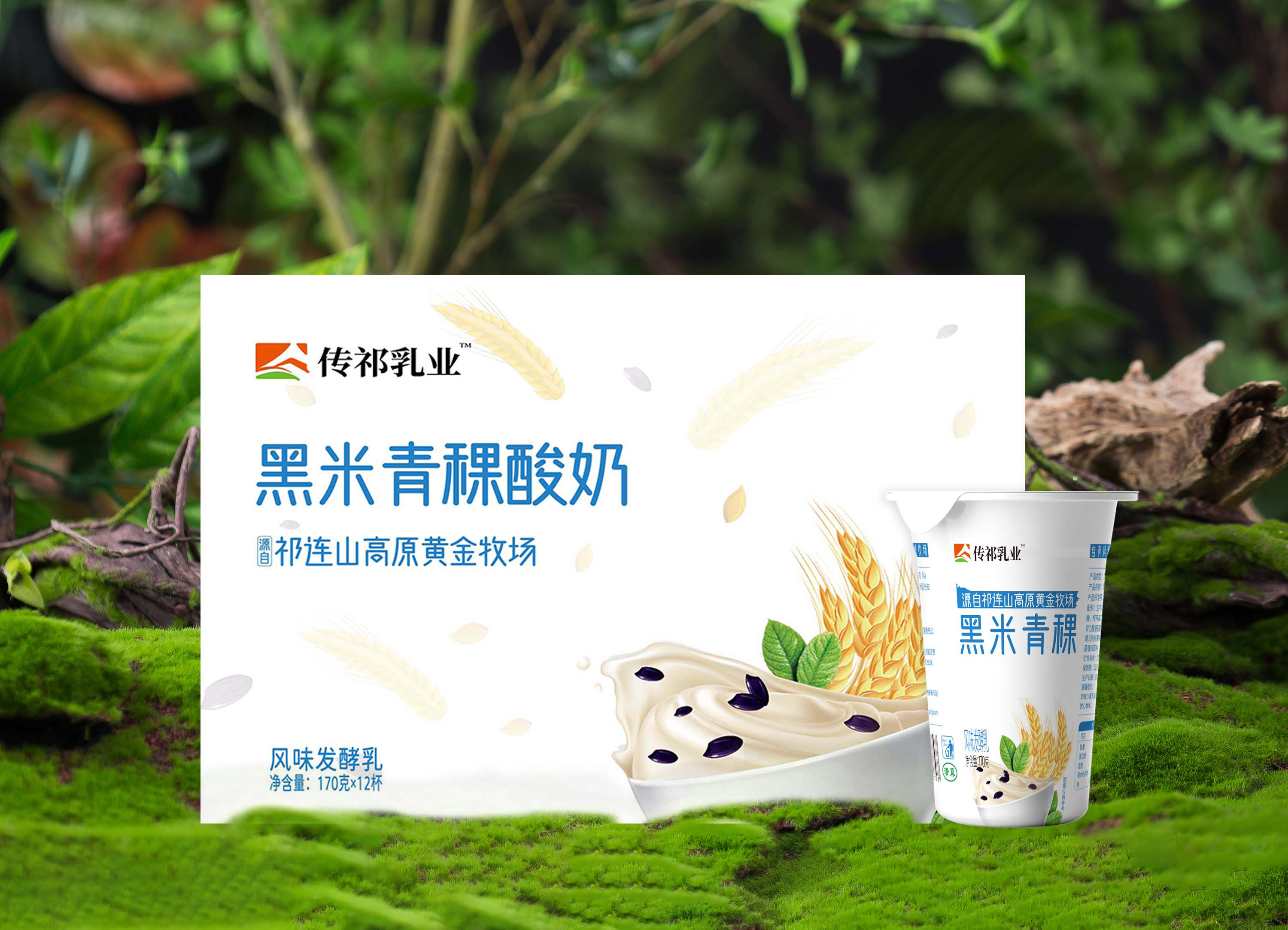 傳祁乳業(yè) 黑米青稞酸奶