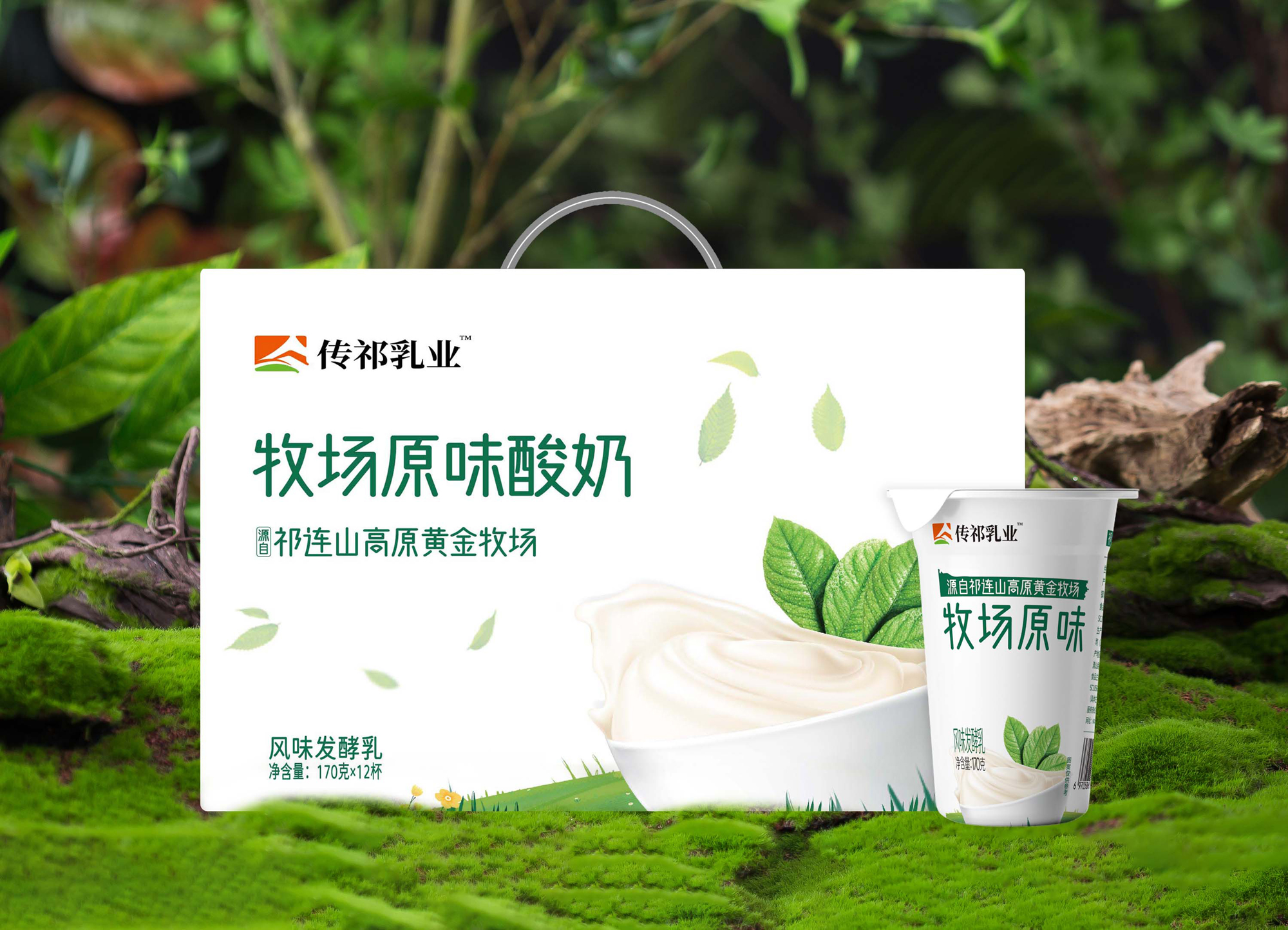 傳祁乳業(yè) 牧場(chǎng)原味酸奶