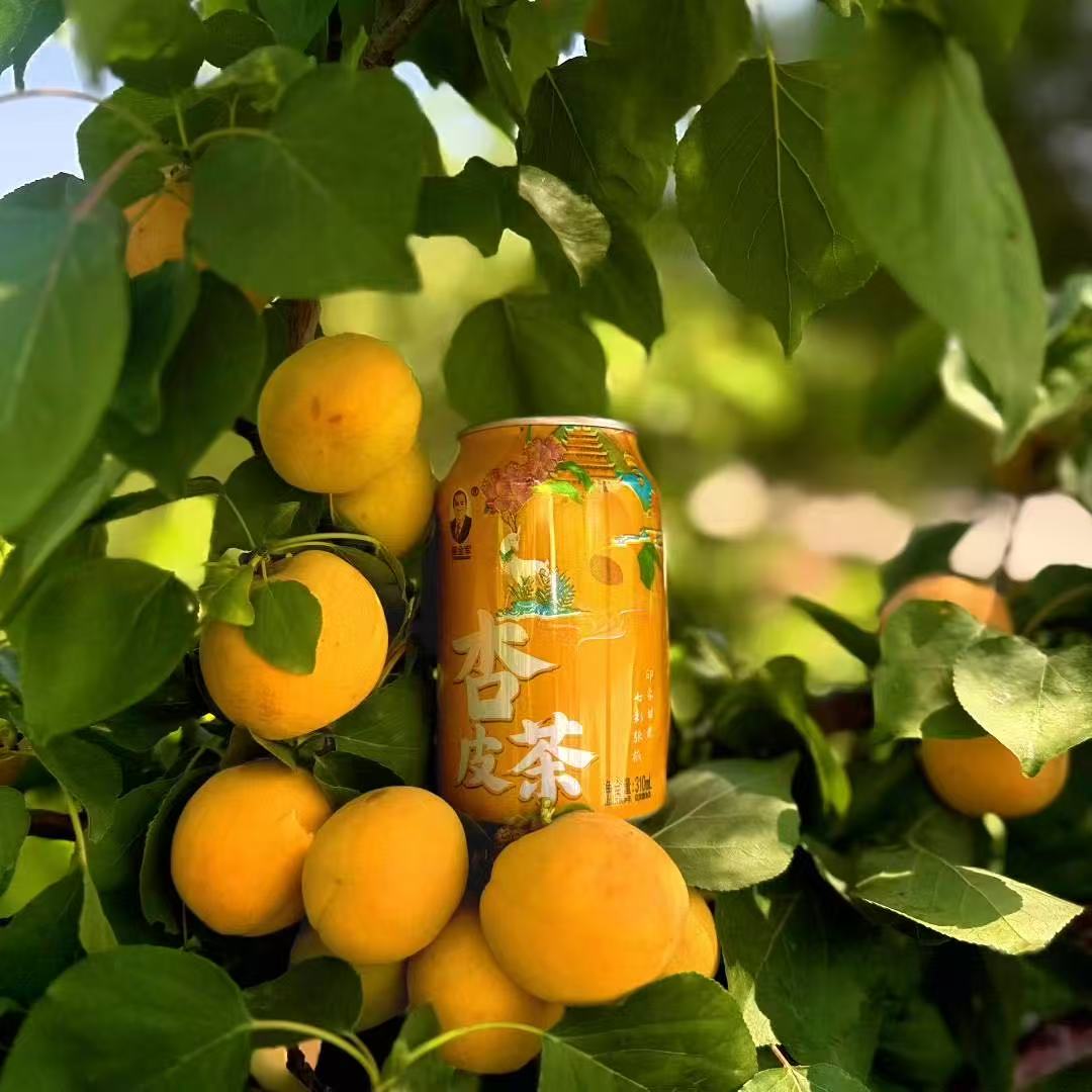 杏皮茶