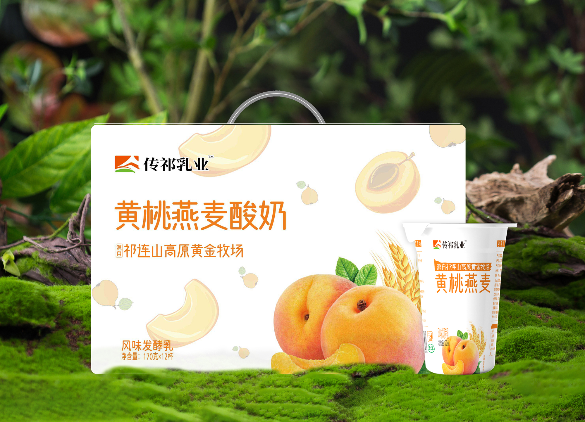 傳祁乳業(yè) 黃桃燕麥酸奶