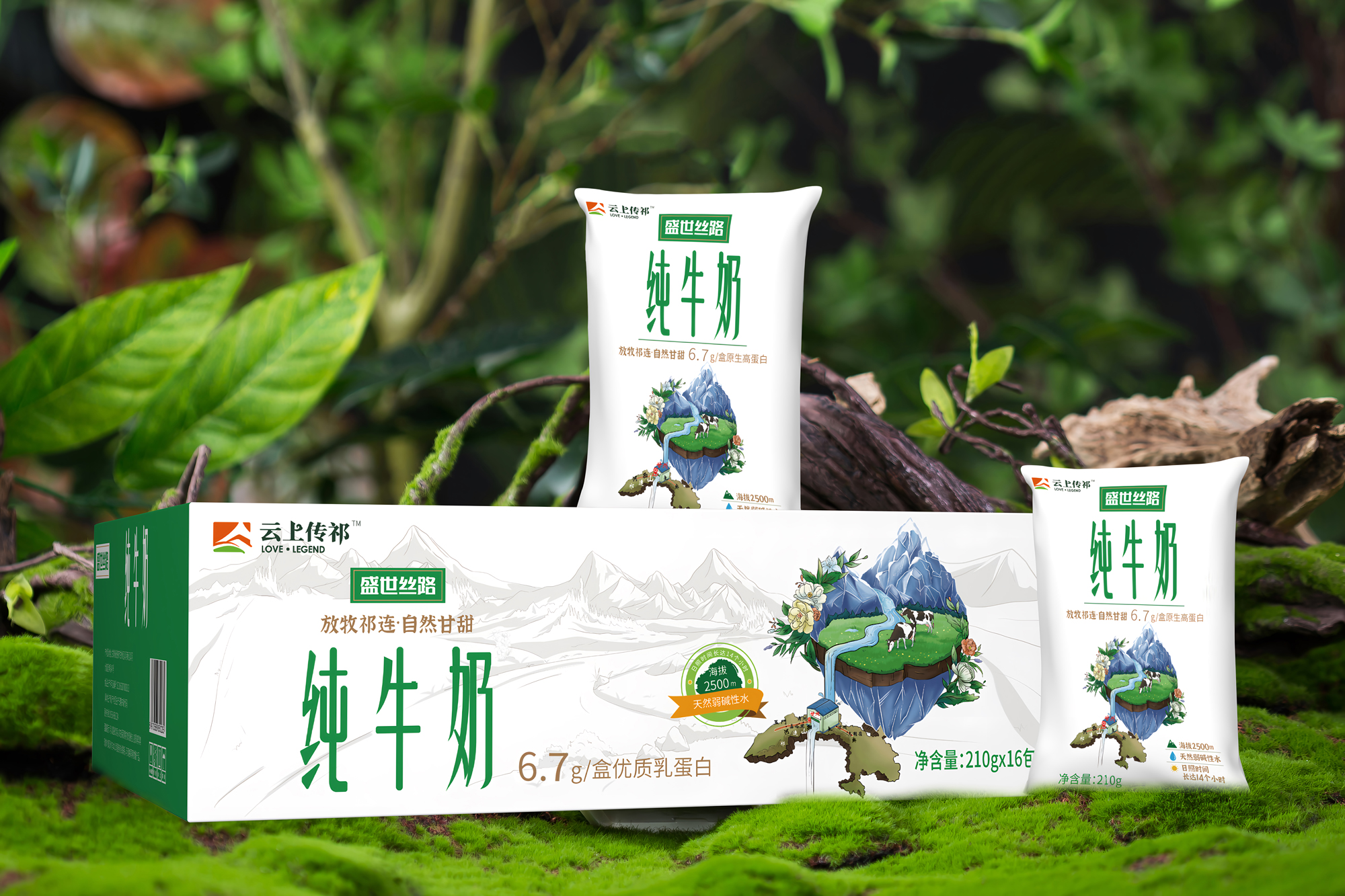 云上傳祁 盛世絲路枕包純牛奶