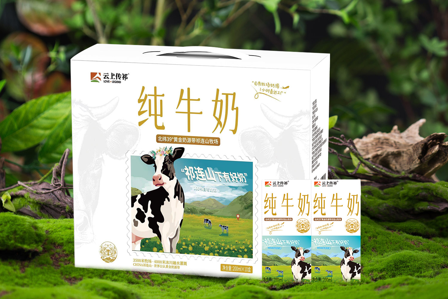 云上傳祁 小飛天純牛奶