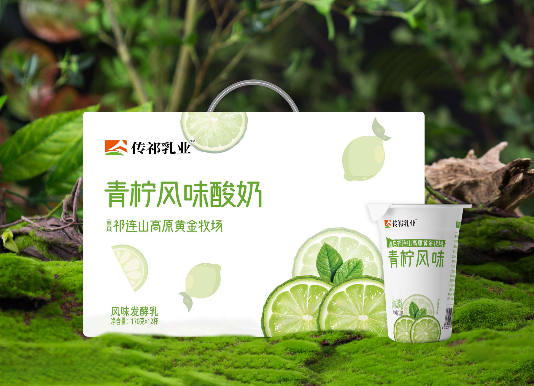 傳祁乳業(yè) 青檸酸奶