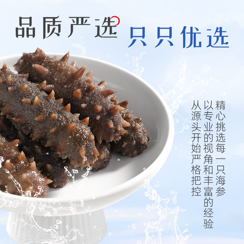 溢源鮮食海參(8-10頭)500g
