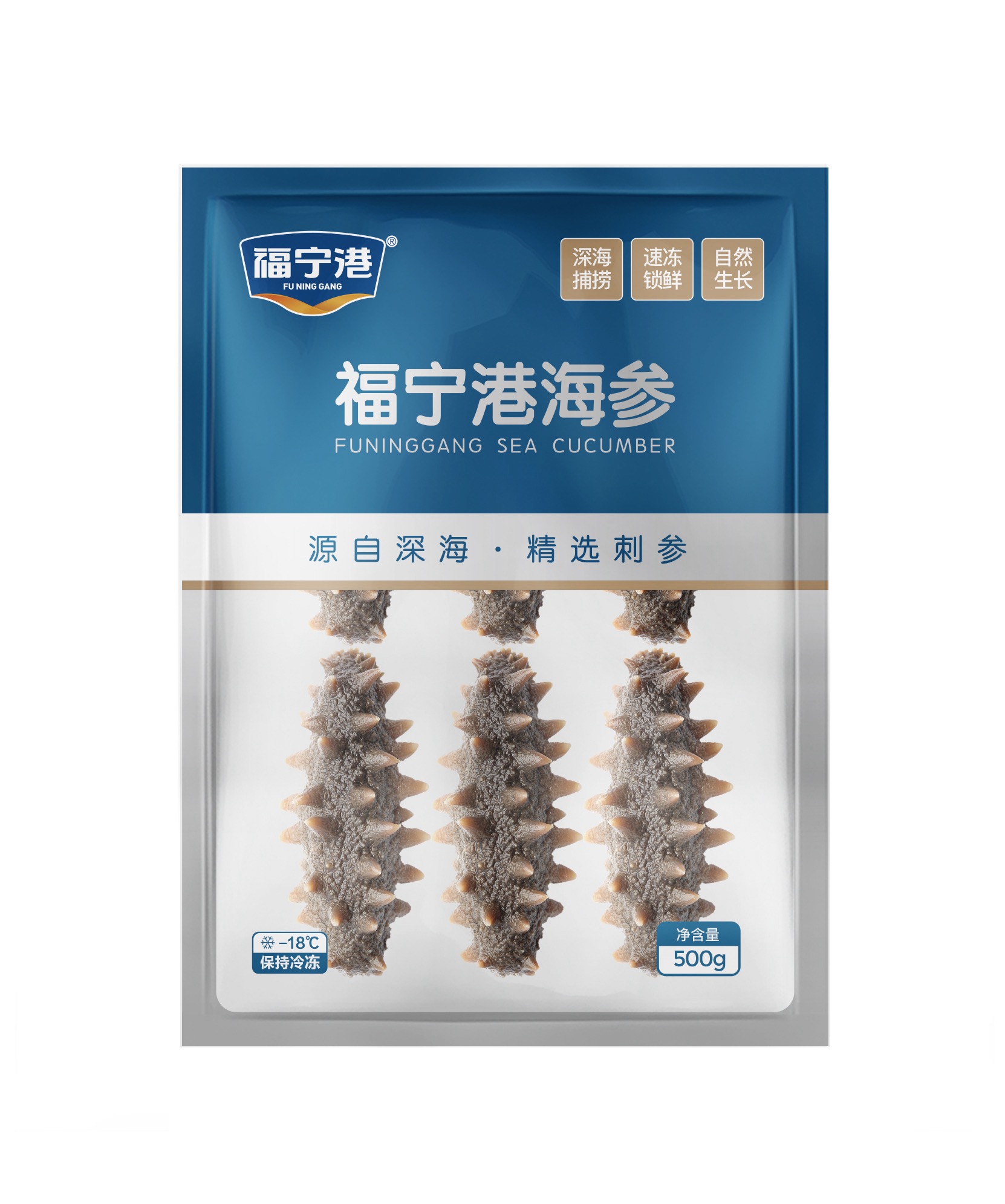 福寧港鮮食海參