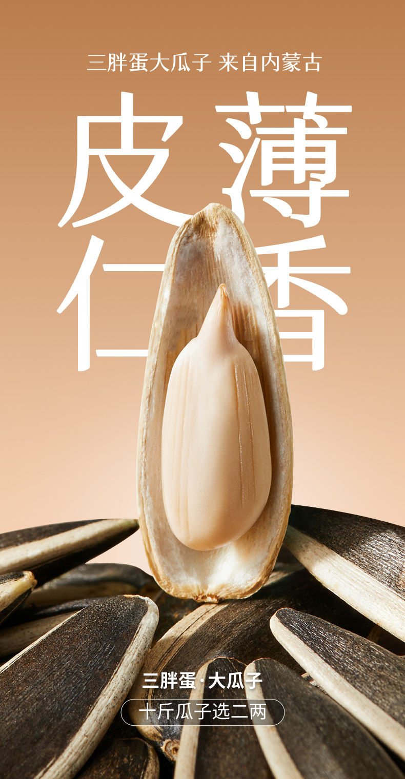 原味葵花籽168克罐装_04.jpg