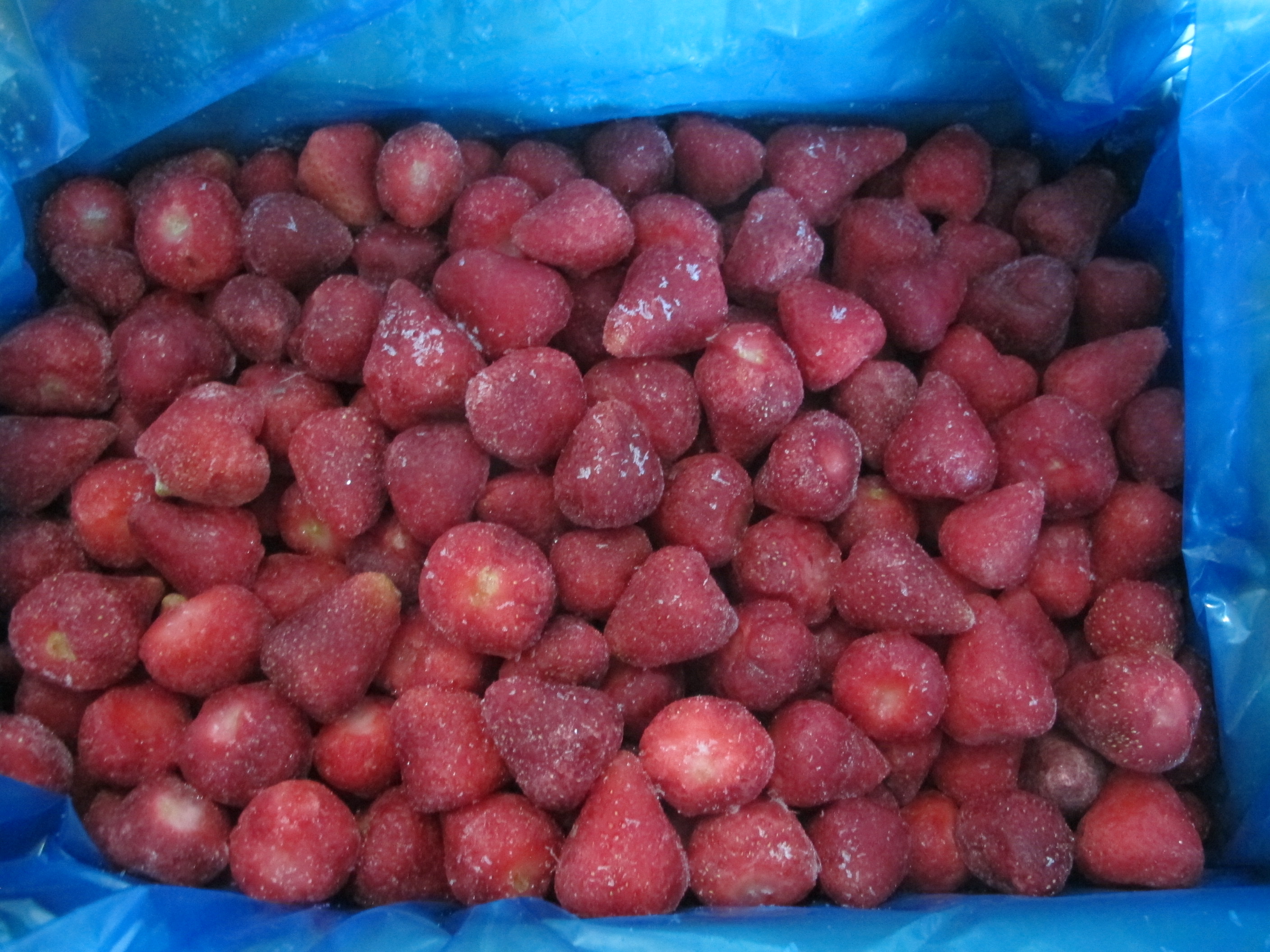 冷凍草莓