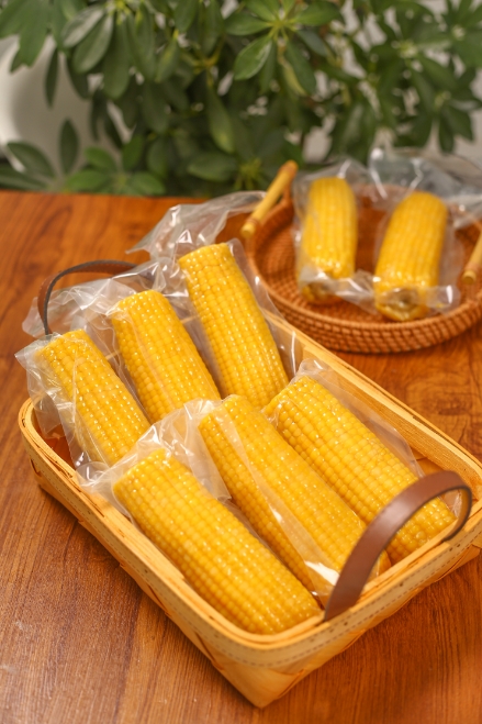 鮮食玉米