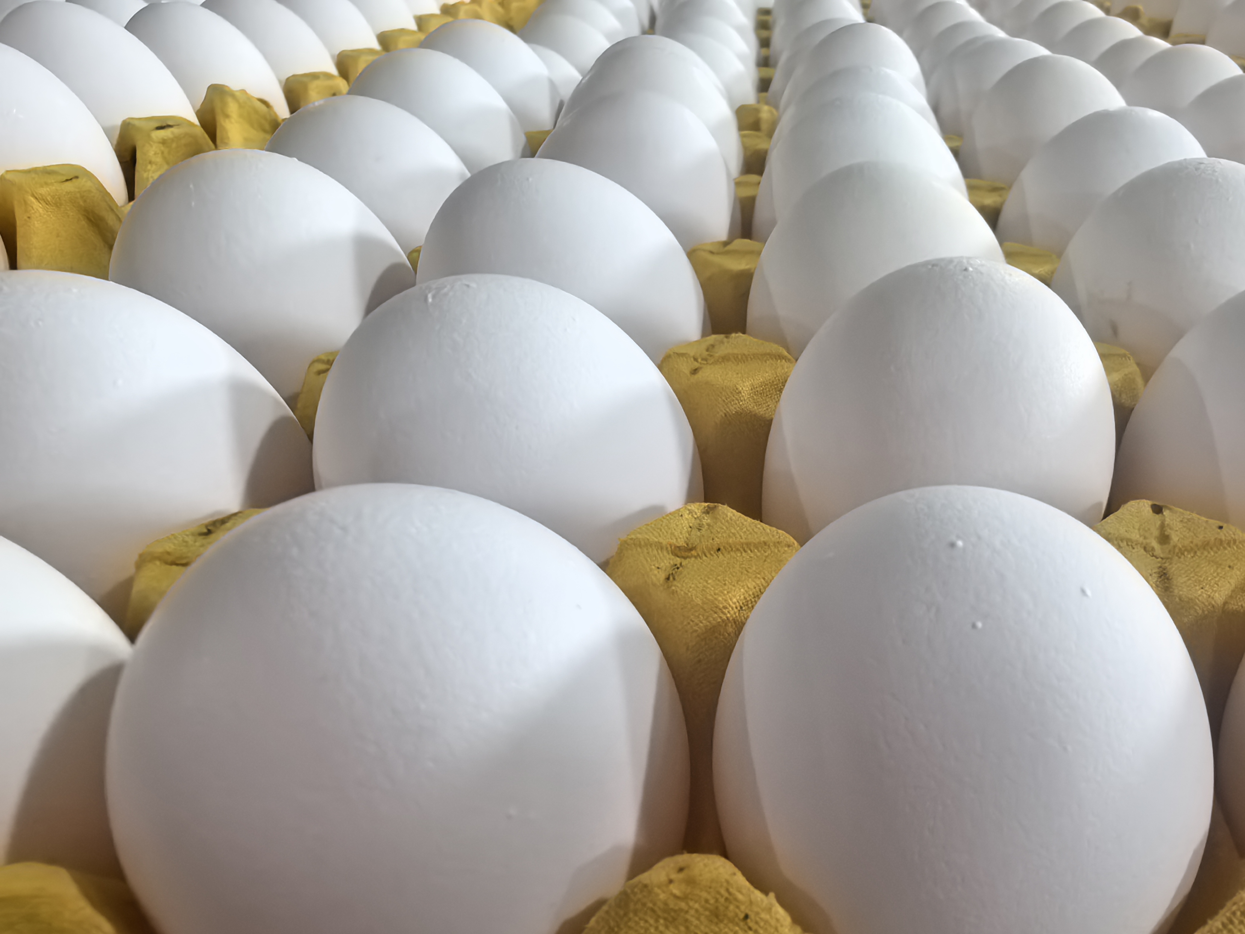 山西鴻源農(nóng)牧科技有限公司