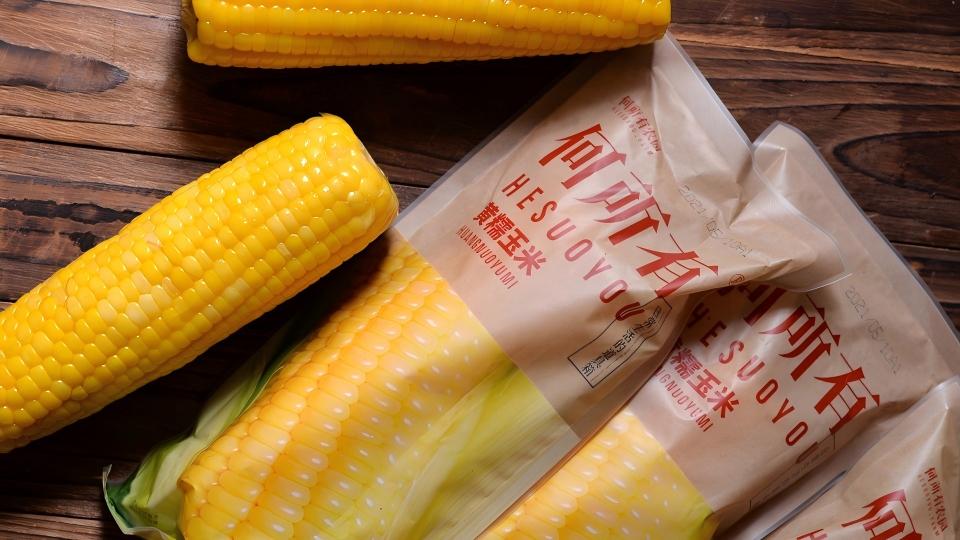 何所有黃糯玉米