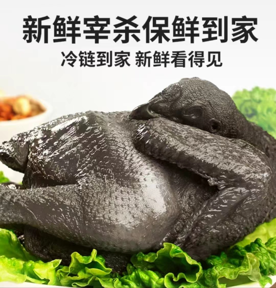 高原生態(tài)烏骨雞