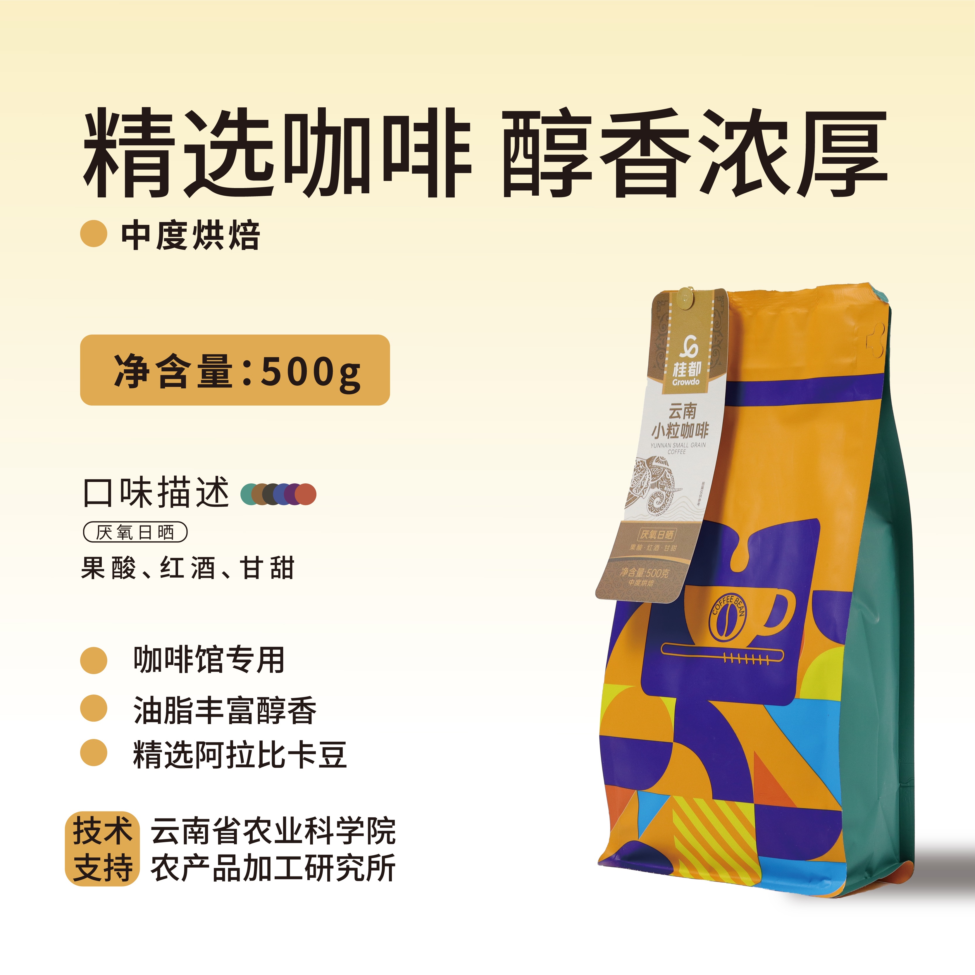 桂都袋裝500g厭氧日曬咖啡豆（彩袋）