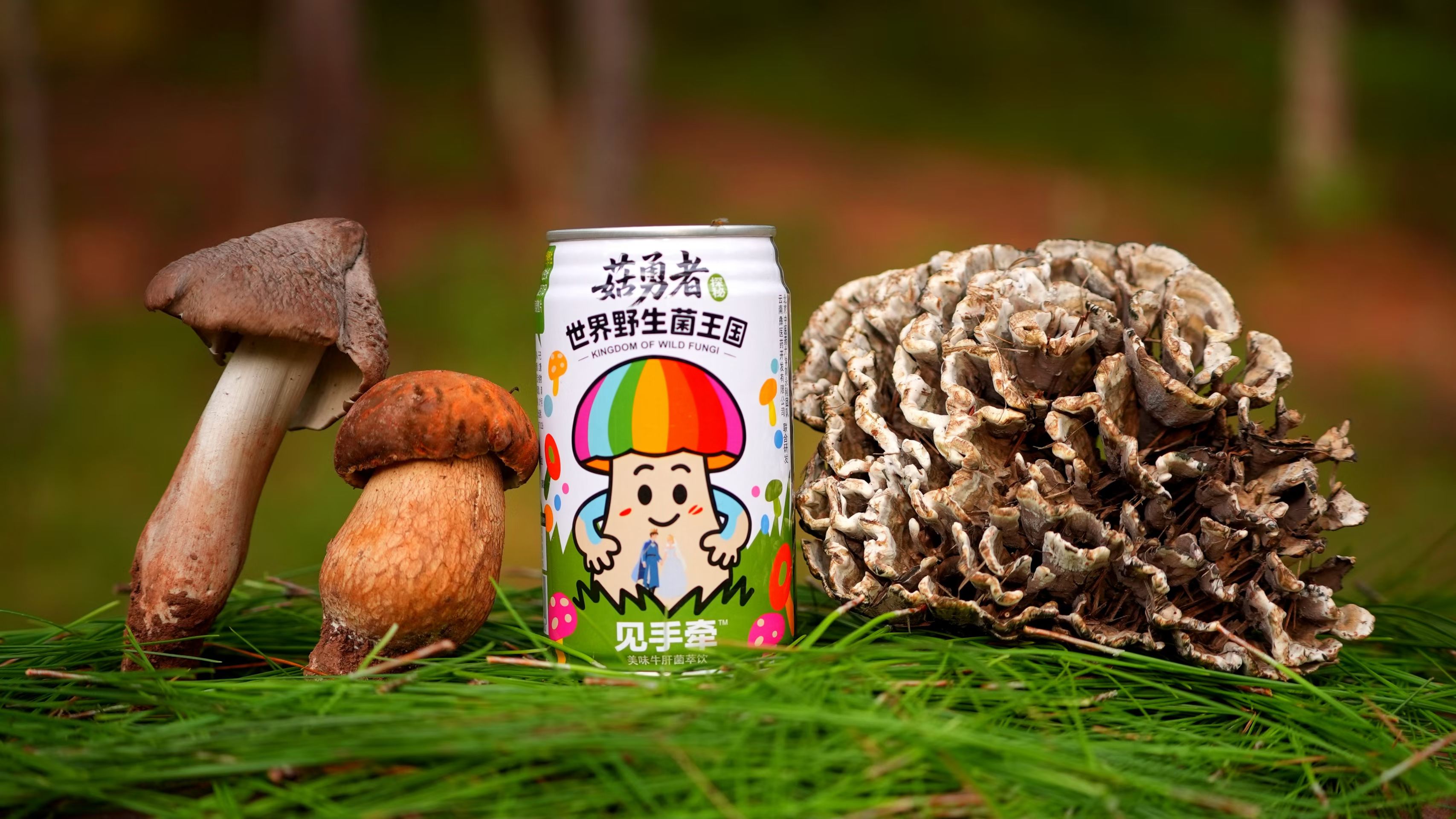 美味牛肝菌萃飲