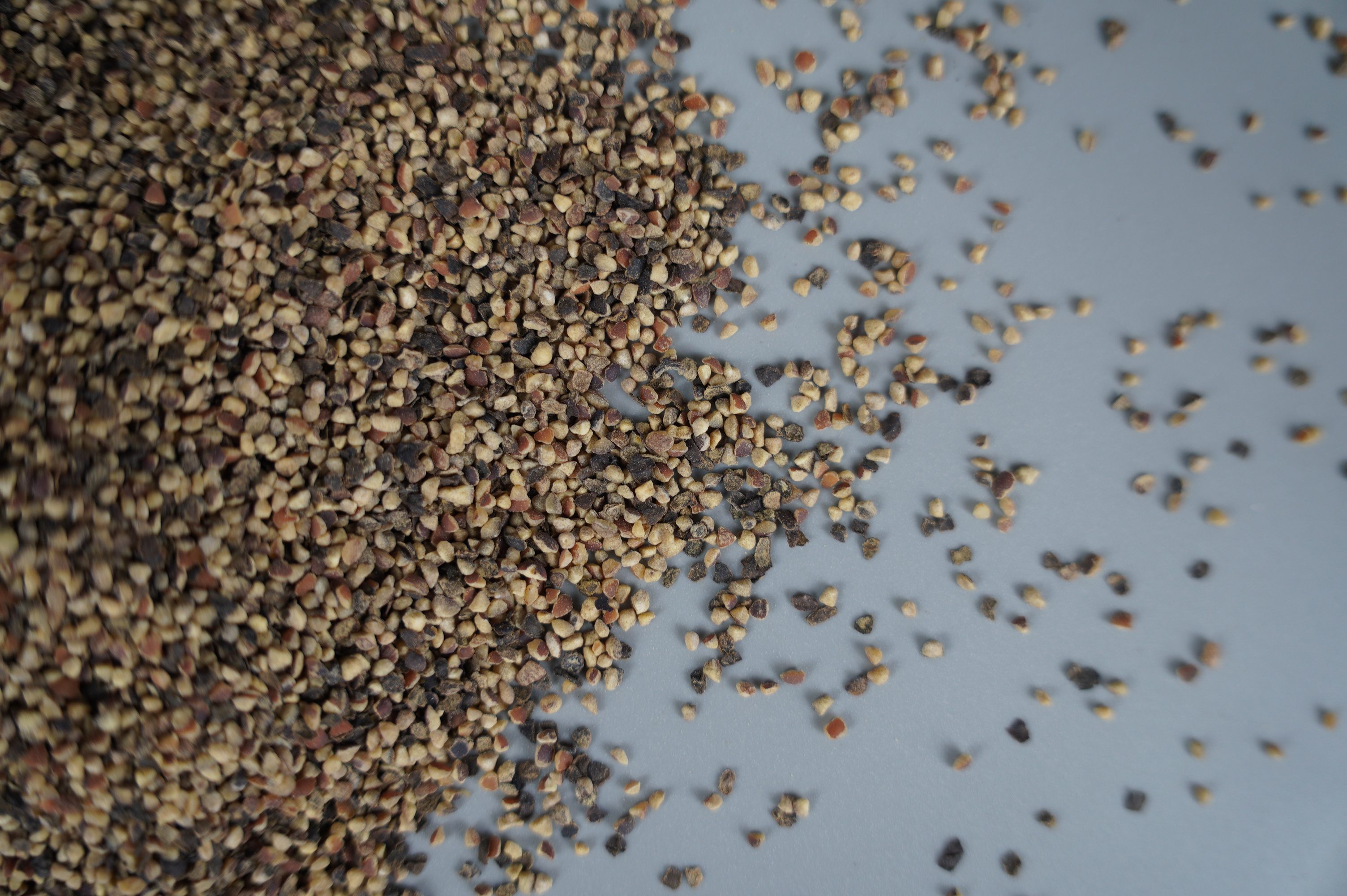 有機研磨黑胡椒（蒸汽滅菌）