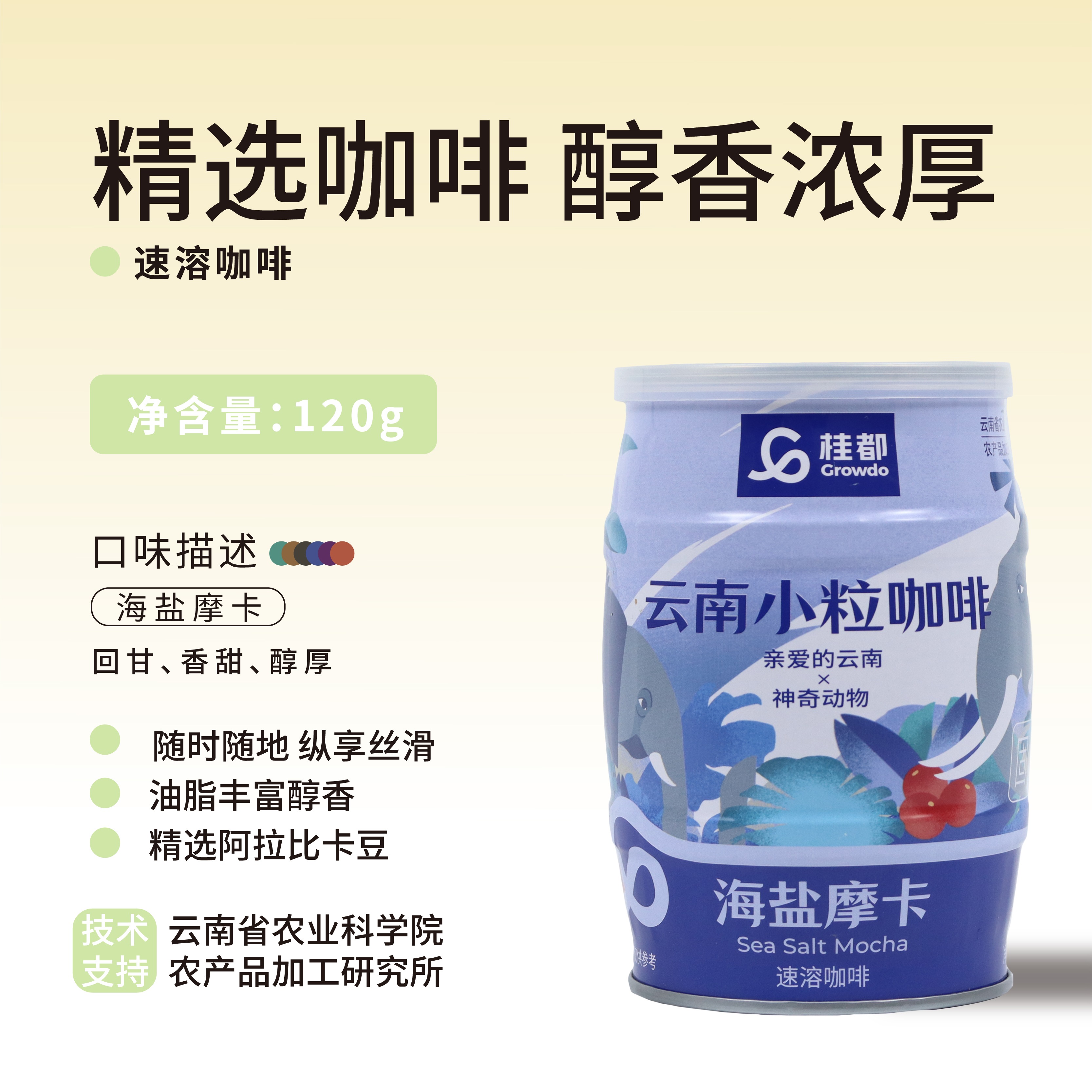 桂都120g海鹽摩卡罐裝咖啡（彩罐）