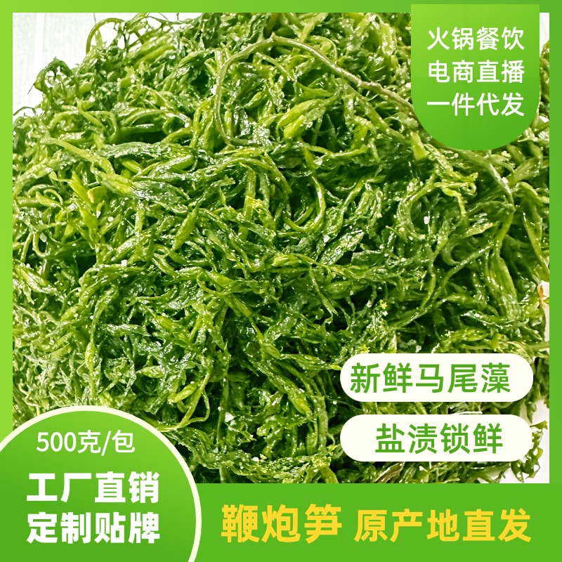 鞭炮筍/馬尾藻/長壽菜