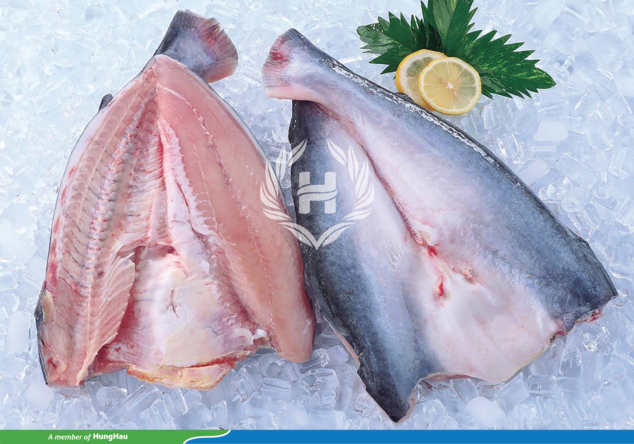 hinh logo (mo) 210.jpg