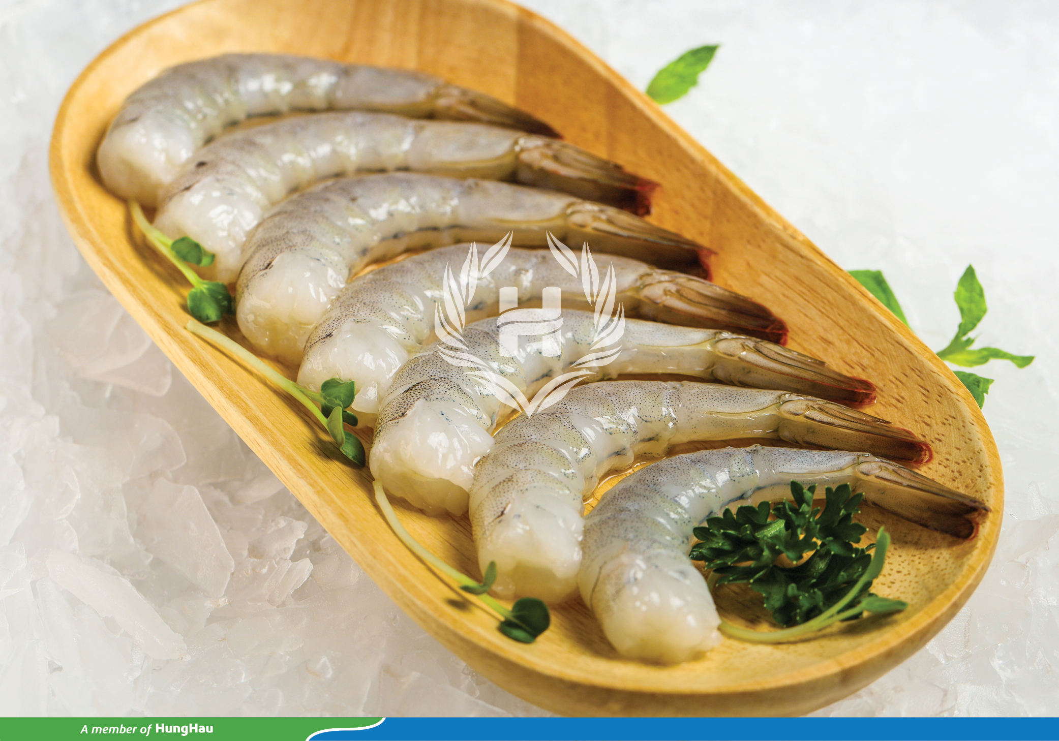 hinh logo (mo) 527.jpg