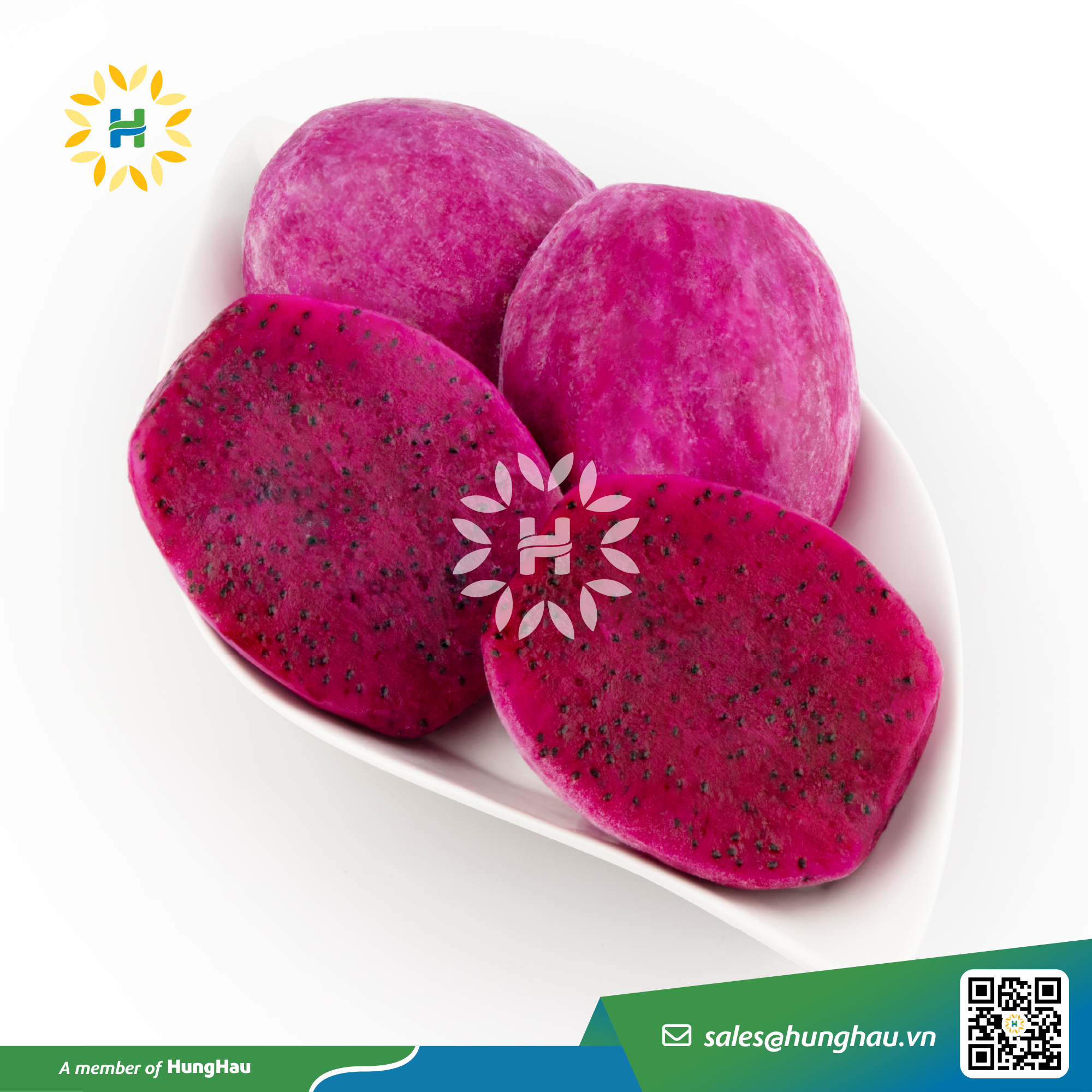 HHF_Hang Dong_thanh long do 12.jpg