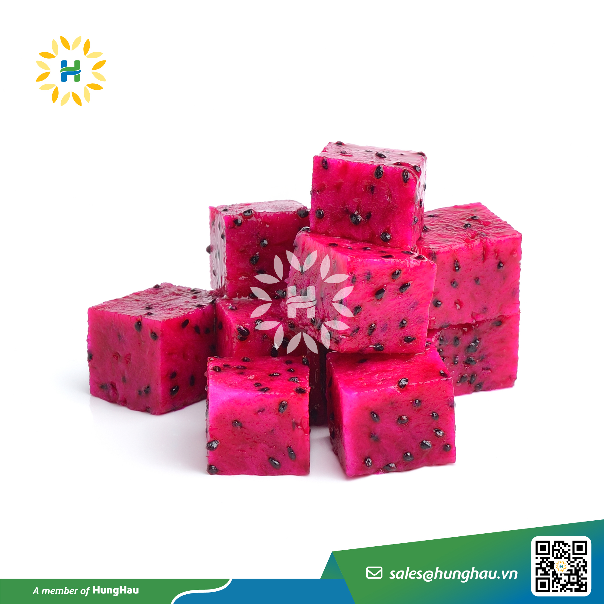 HHF_Hang Dong_Thanh long do_2.jpg