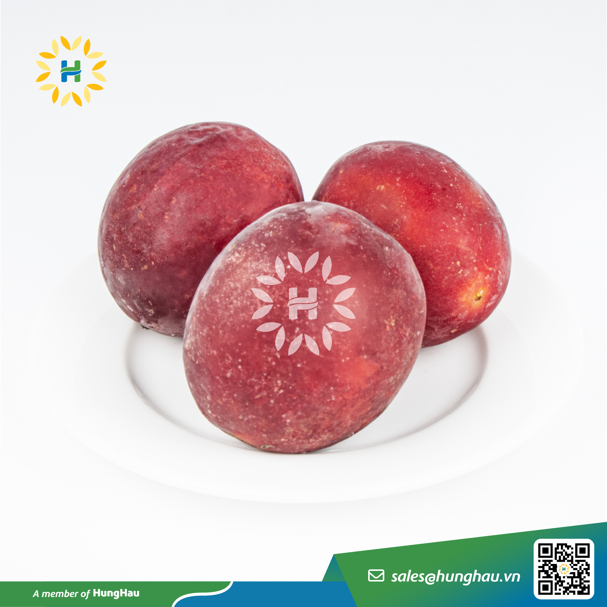 HHF_Hang Dong_chanh day nguyen qua.jpg