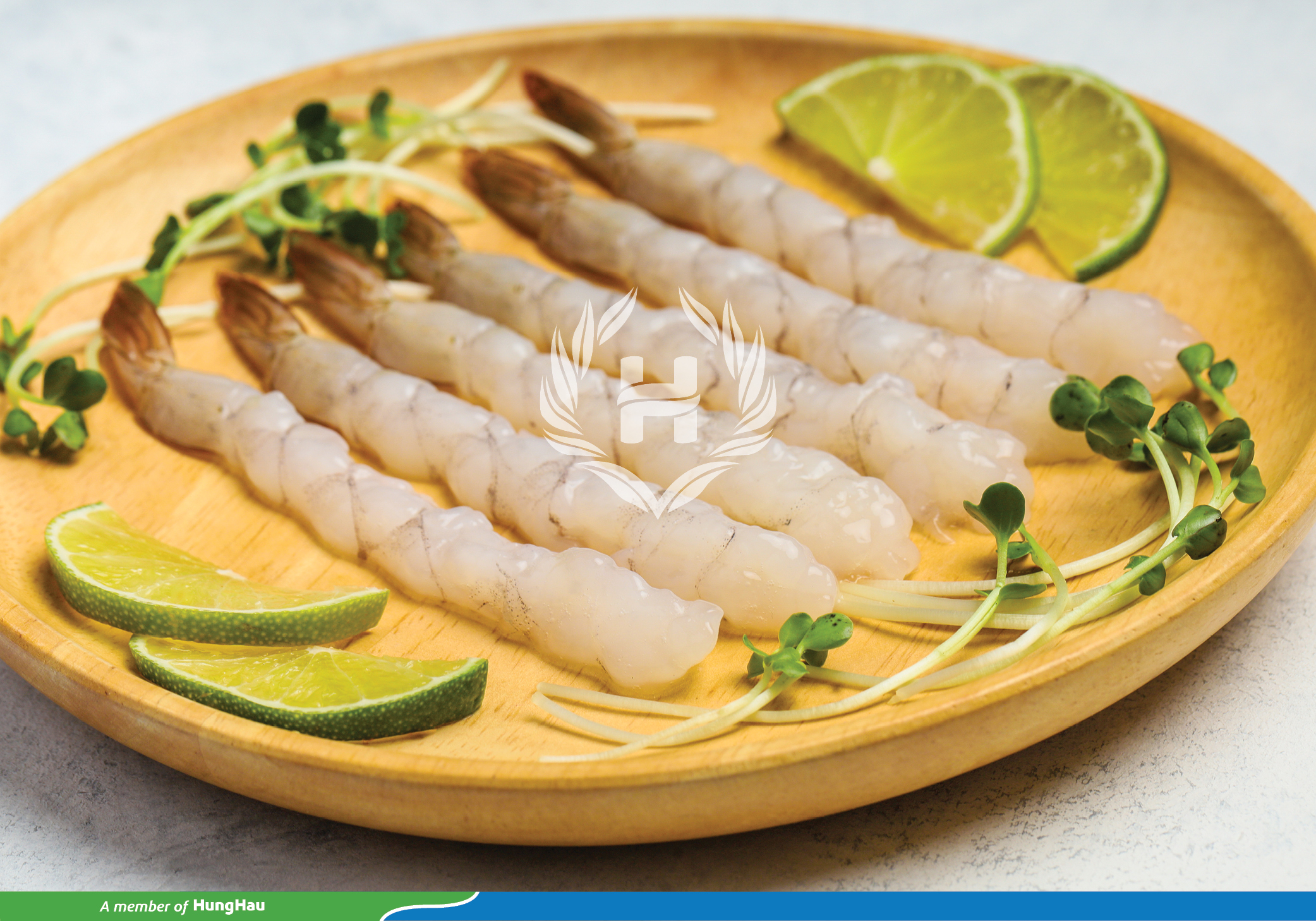 hinh logo (mo) 529.jpg