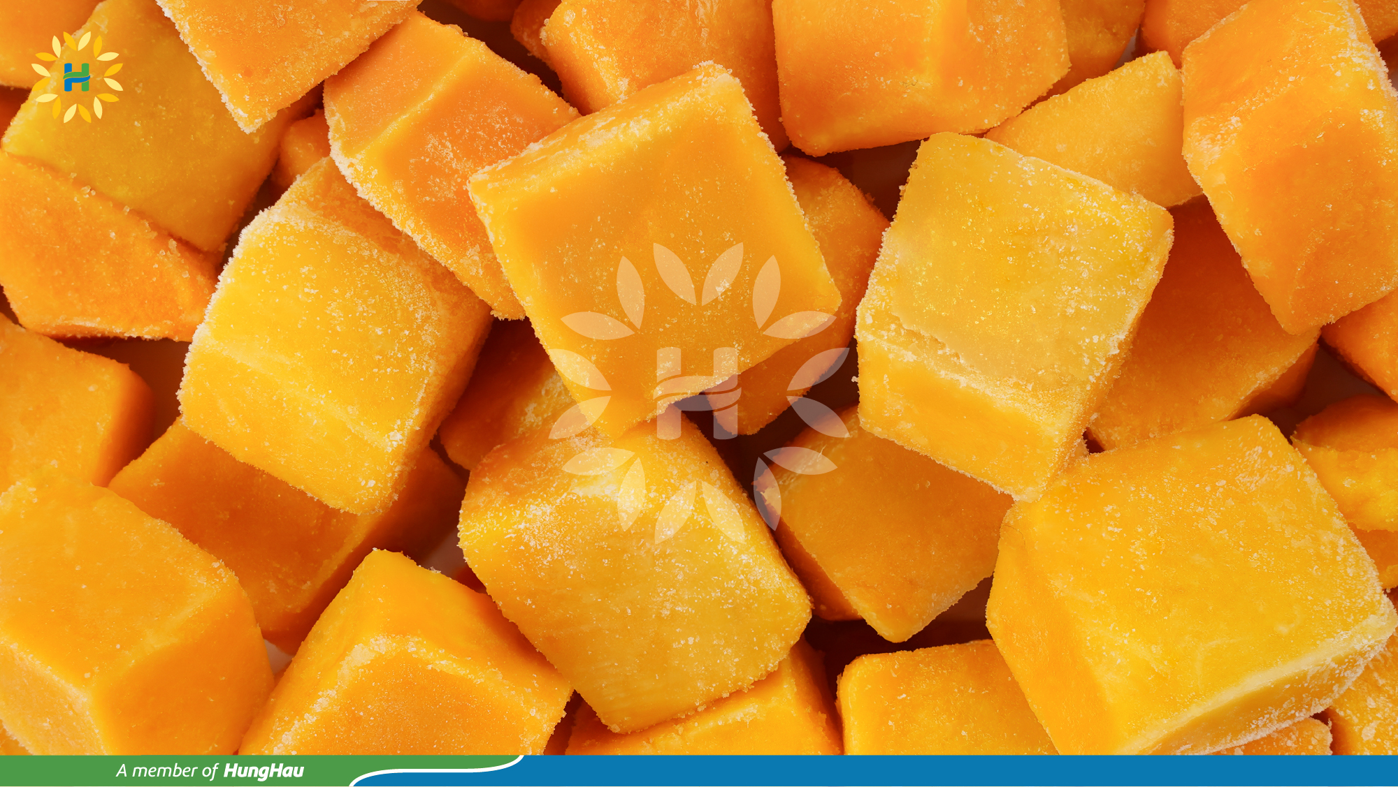 HHF_Hang Dong_Xoai chu dice_1.jpg