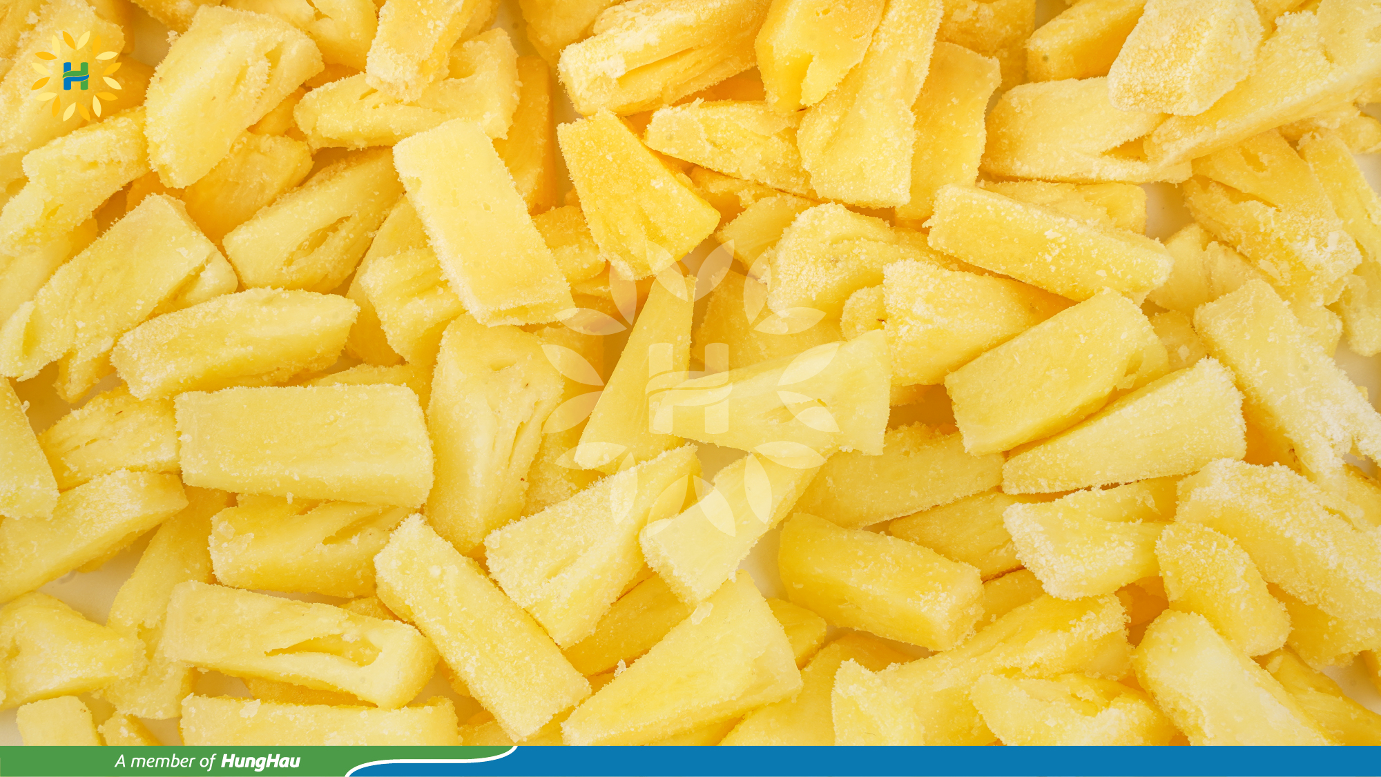 HHF_Hang Dong_khom 16.jpg